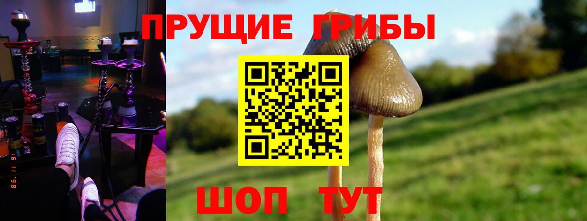 Галлюциногенные грибы MAGIC MUSHROOMS Новоуральск