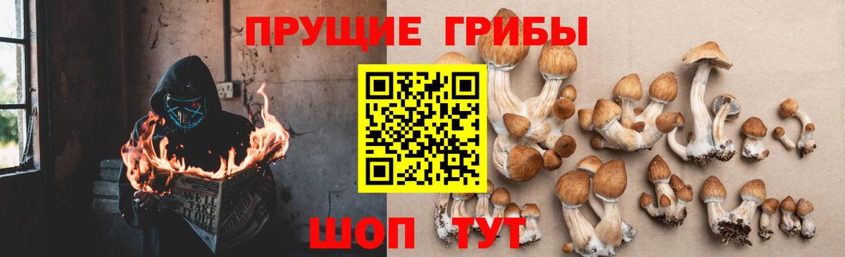 Псилоцибиновые грибы Magic Shrooms  Вход с VPN  Новоуральск 